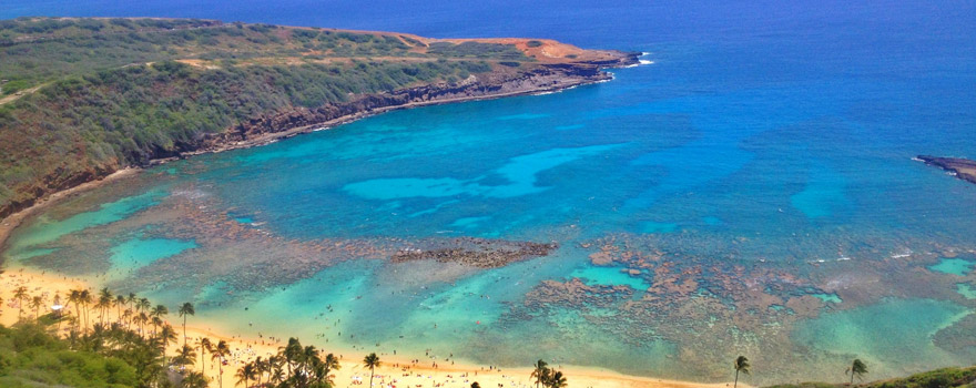 Hanauma Bay Scuba Diving