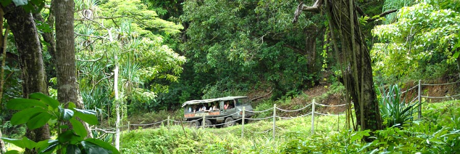 Kualoa Ranch Jungle Expedition