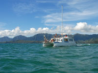 catamaran sailing from the east side of Oahu